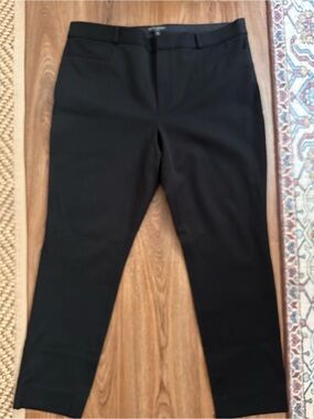 Banana Rebulic Modern Sloan Pants